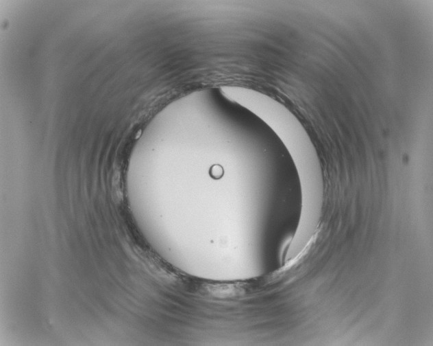 X0000060260187200511181403