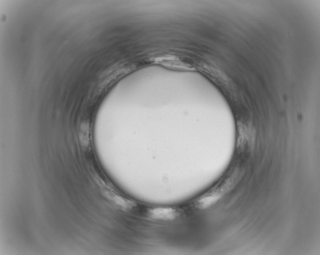 X0000060260189200511181403