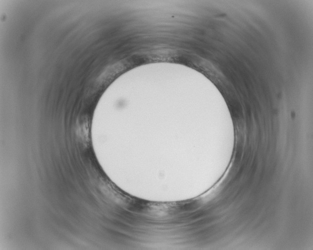 X0000060260190200511181403