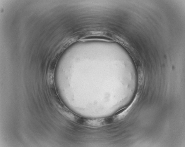 X0000060260191200511181403