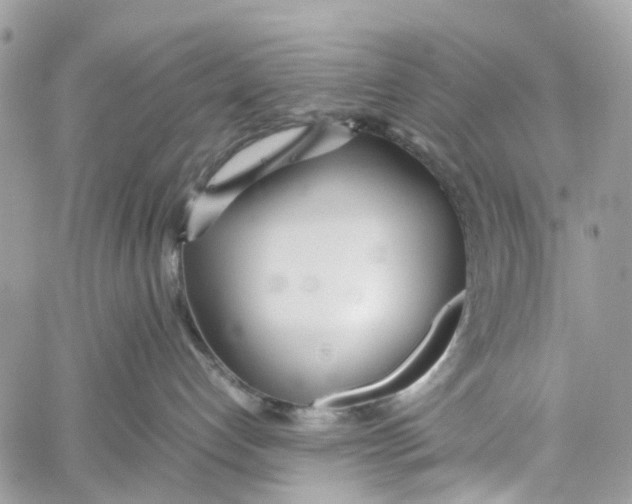 X0000060260192200511181403