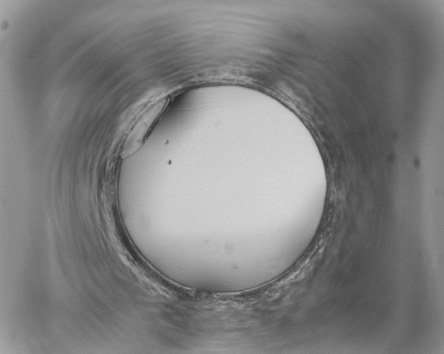 X0000060260193200511181403