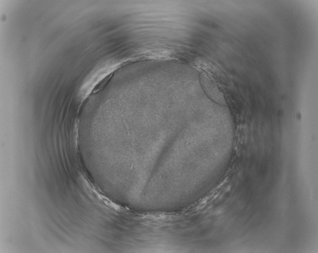 X0000060260194200511181403