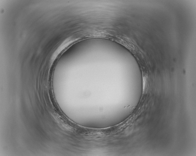 X0000060260195200511181403