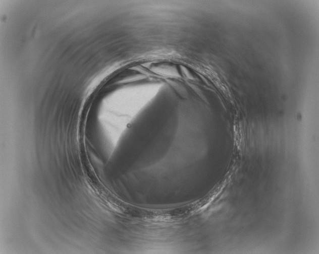 X0000060260196200511181403