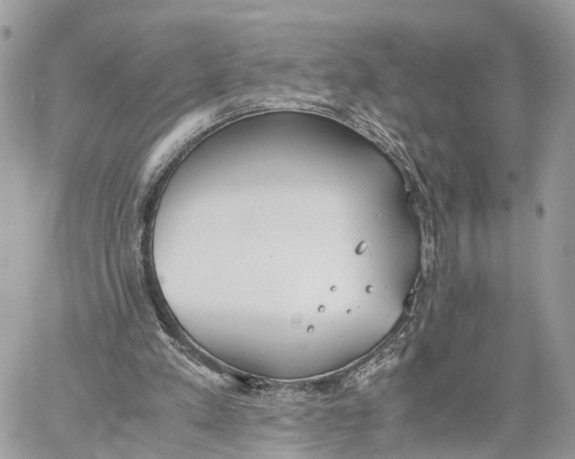 X0000060260197200511181403