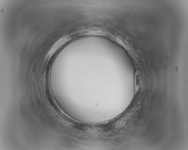 X0000060260199200511181402