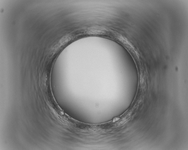 X0000060260201200511181402