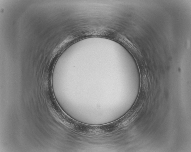 X0000060260203200511181402