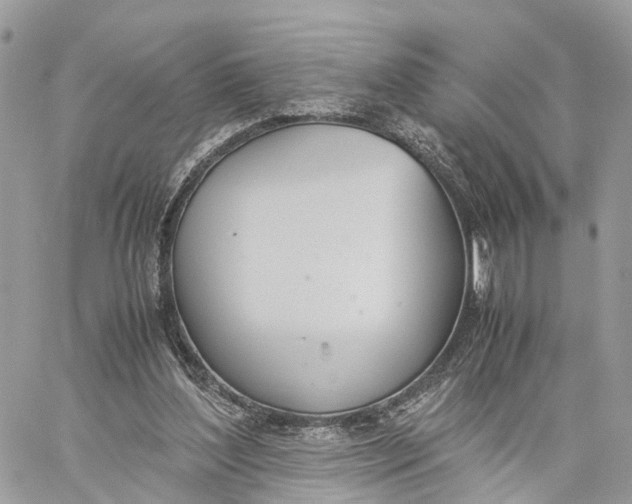 X0000060260204200511181402