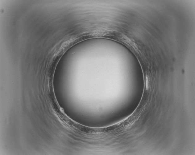 X0000060260205200511181402