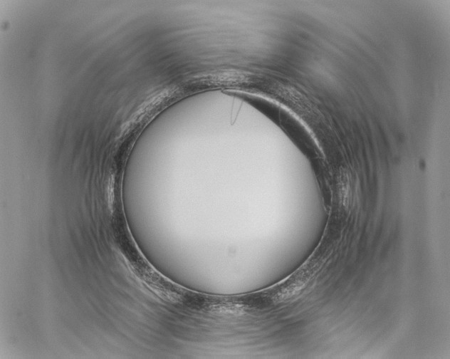 X0000060260206200511181402