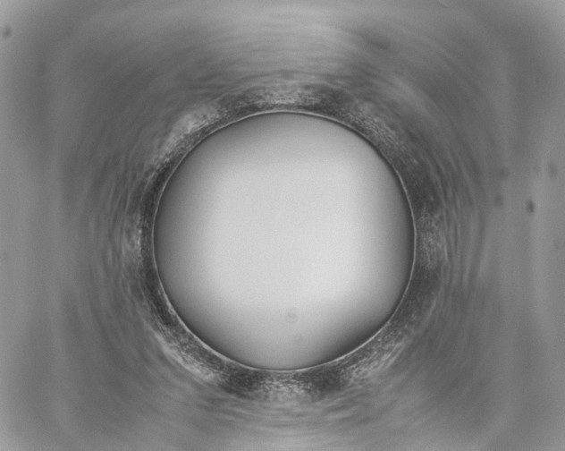 X0000060260207200511181402