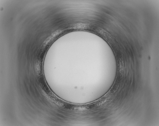 X0000060260208200511181402