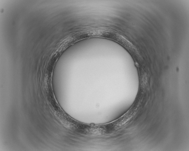 X0000060260209200511181402