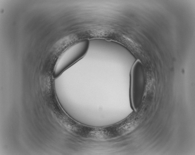 X0000060260211200511181402