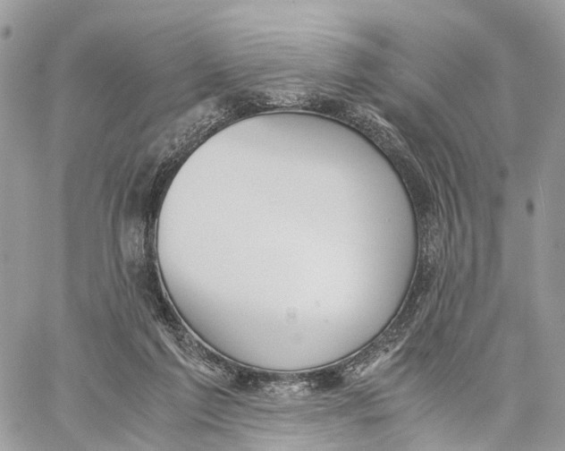 X0000060260213200511181402