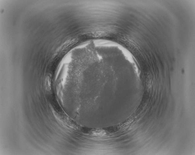 X0000060260214200511181402