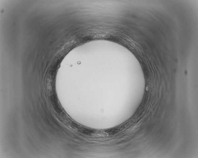 X0000060260215200511181402