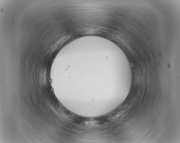 X0000060260216200511181402