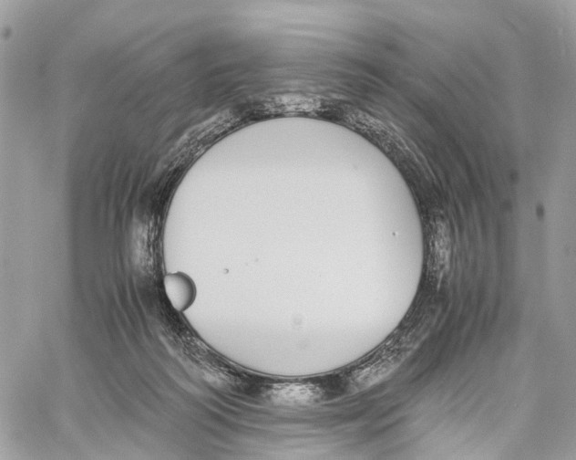 X0000060260218200511181402