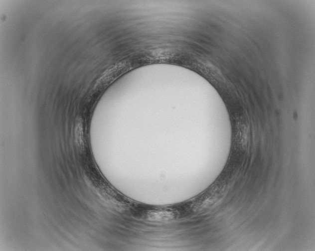 X0000060260220200511181402