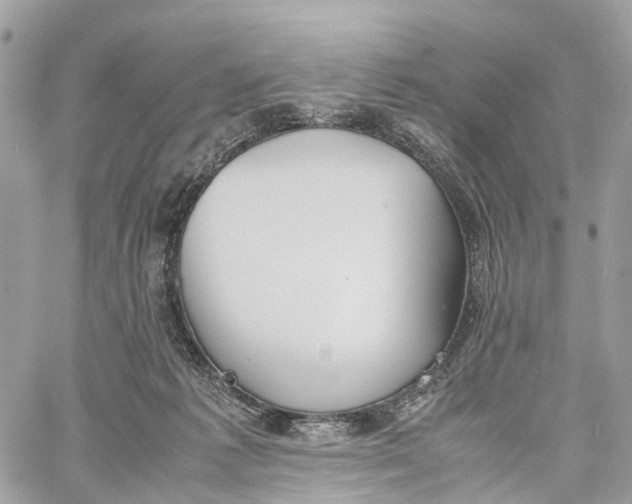 X0000060260221200511181402