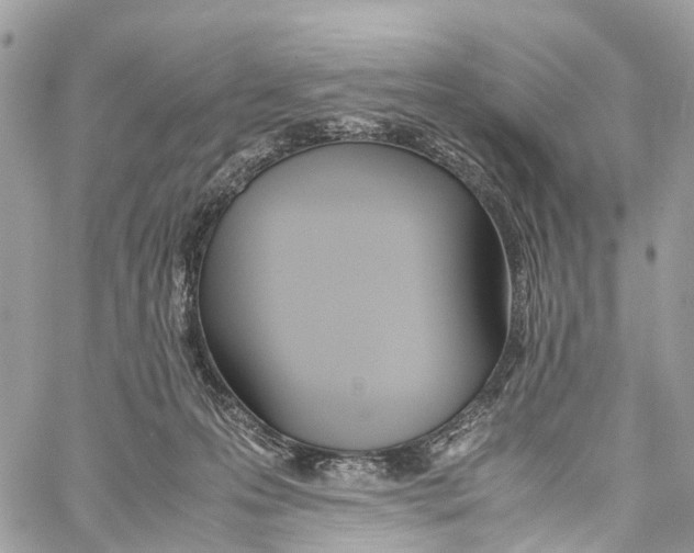 X0000060260223200511181402