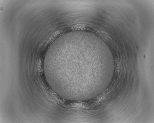 X0000060260224200511181402