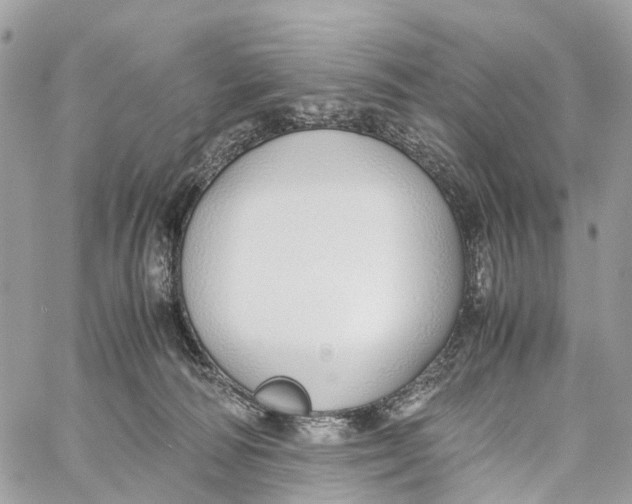 X0000060260226200511181402