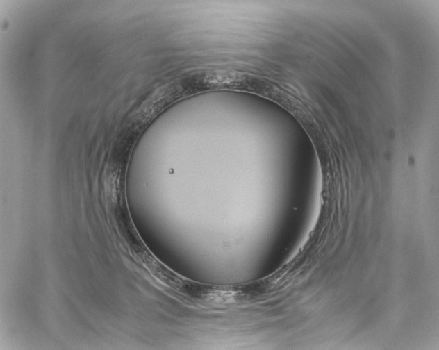 X0000060260227200511181402