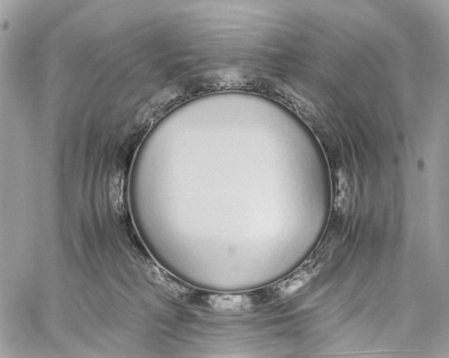 X0000060260230200511181402