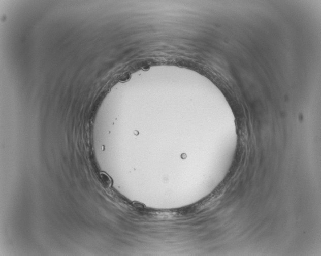 X0000060260233200511181402