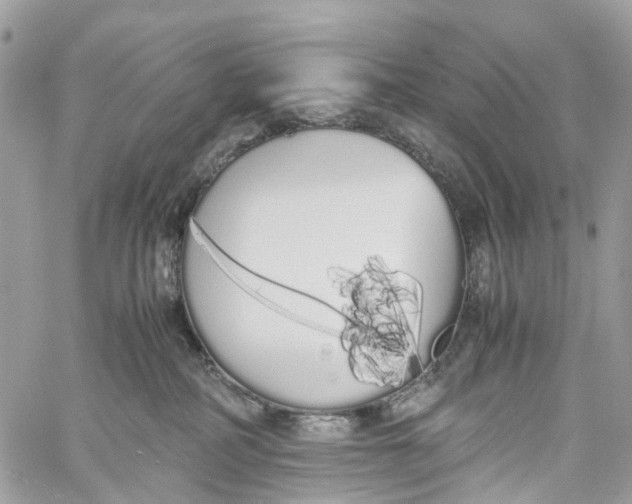 X0000060260234200511181402