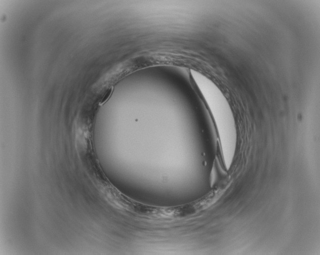 X0000060260235200511181402