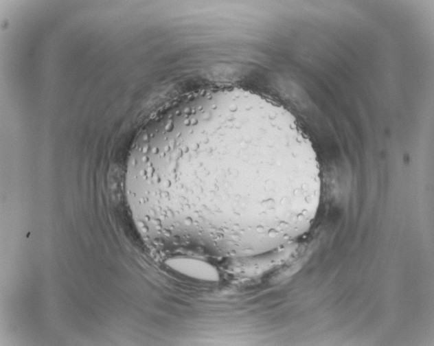 X0000060260237200511181402