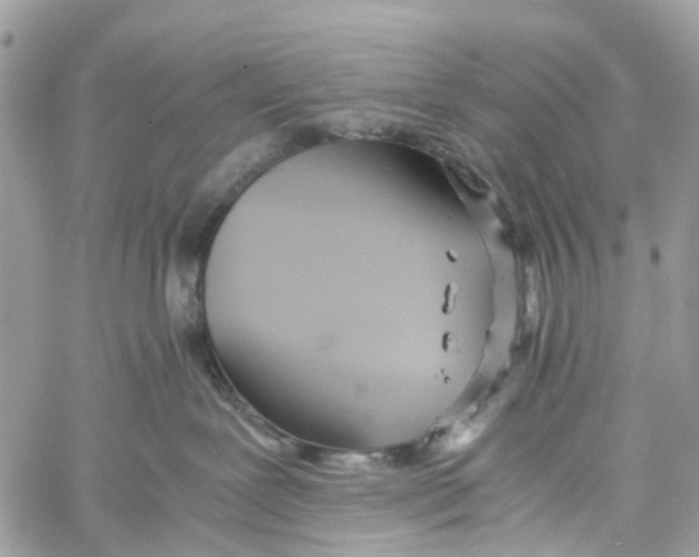 X0000060260239200511181402