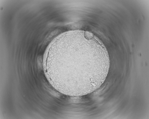 X0000060260240200511181402