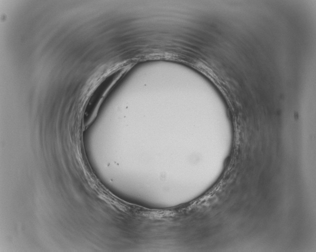 X0000060260241200511181401