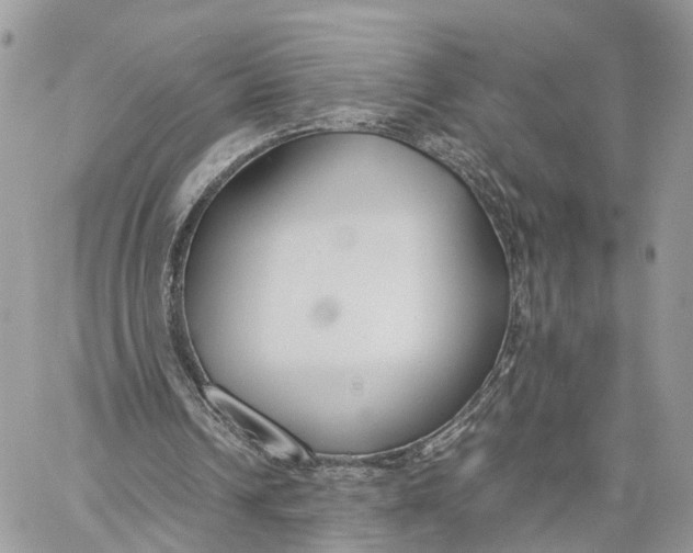 X0000060260242200511181401