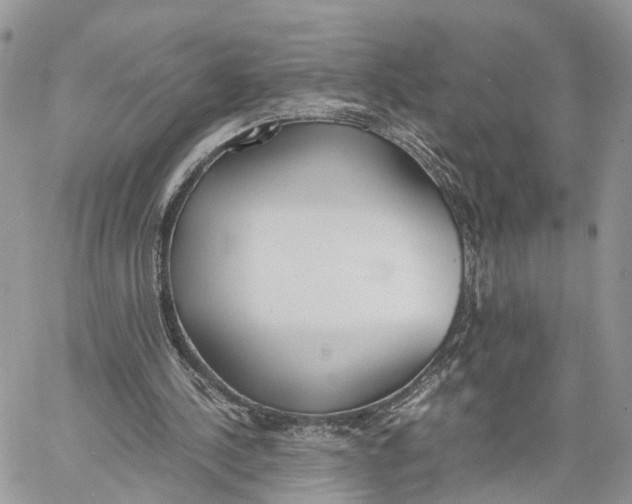 X0000060260244200511181401