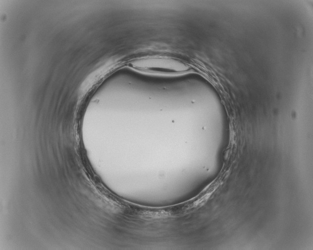 X0000060260245200511181401