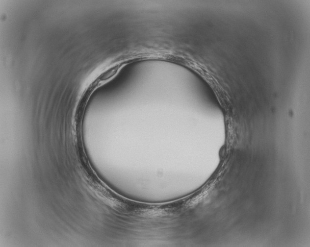 X0000060260246200511181401