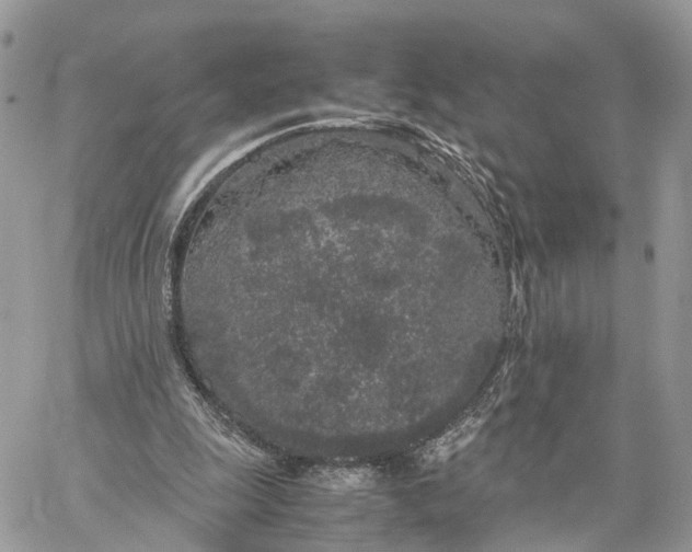 X0000060260247200511181401