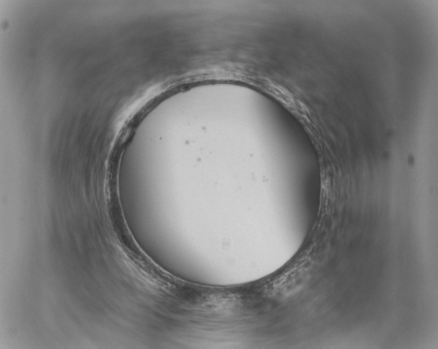 X0000060260248200511181401