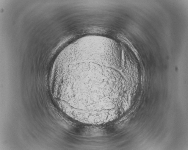 X0000060260249200511181401