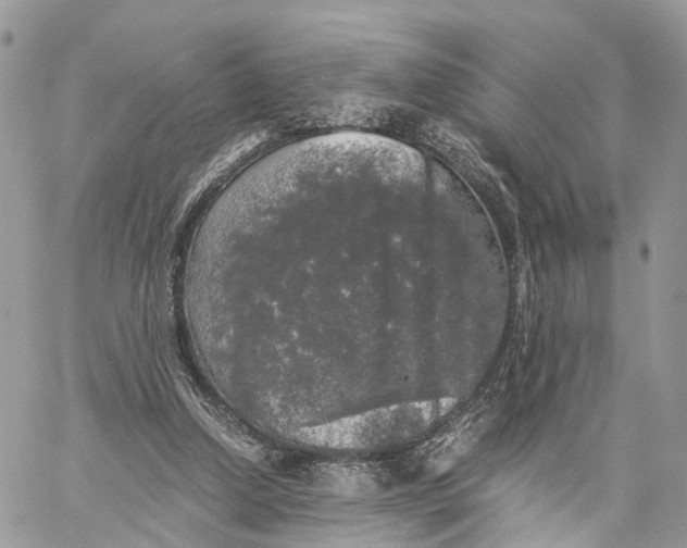 X0000060260250200511181401