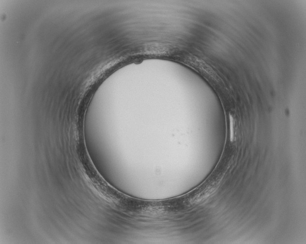 X0000060260252200511181401