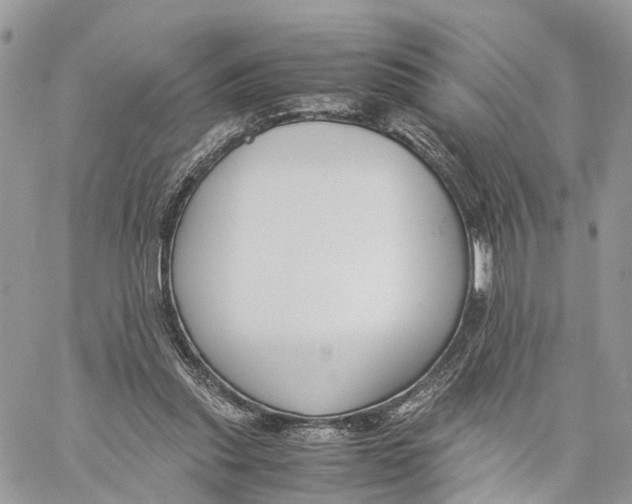 X0000060260253200511181401