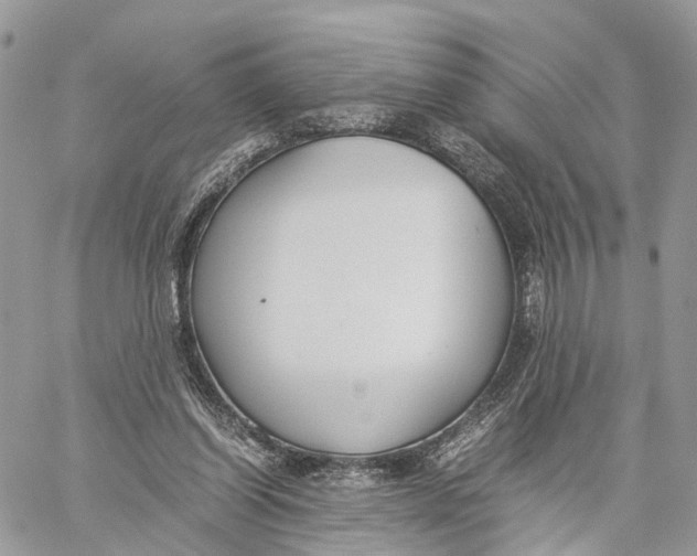 X0000060260254200511181401